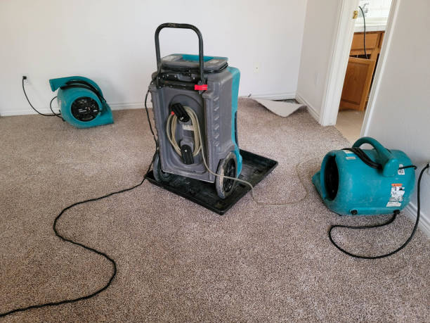 Best Flood damage cleanup  in Washington Park, IL