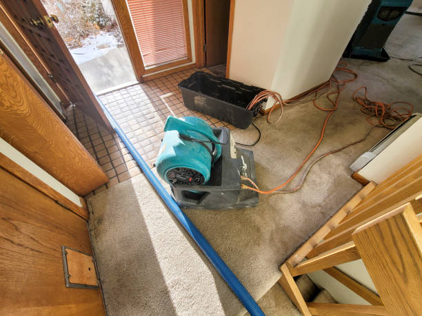 Best Water damage cleanup near me  in Washington Park, IL