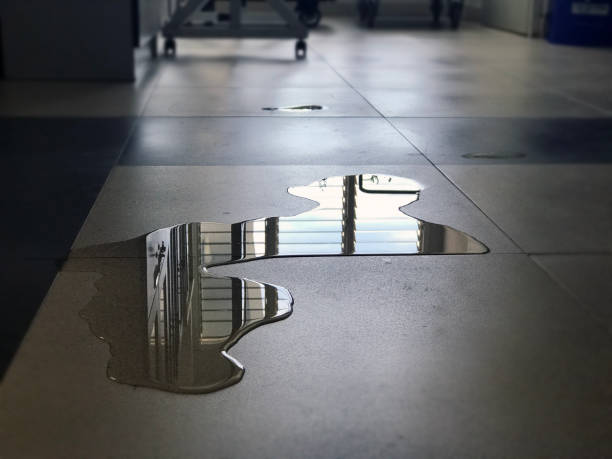Best Water damage restoration near me  in Washington Park, IL