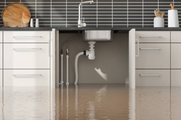 Best 24-hour water damage restoration  in Washington Park, IL