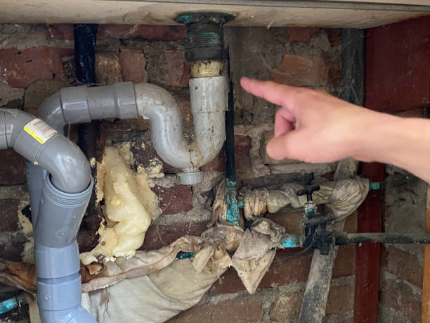 Best Residential water damage restoration  in Washington Park, IL