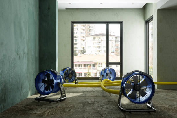 Best Emergency water damage restoration  in Washington Park, IL
